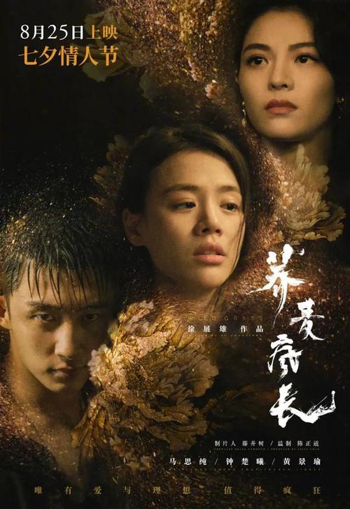 马来西亚驾驶证怎么购买